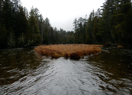 au sable river winter scenery